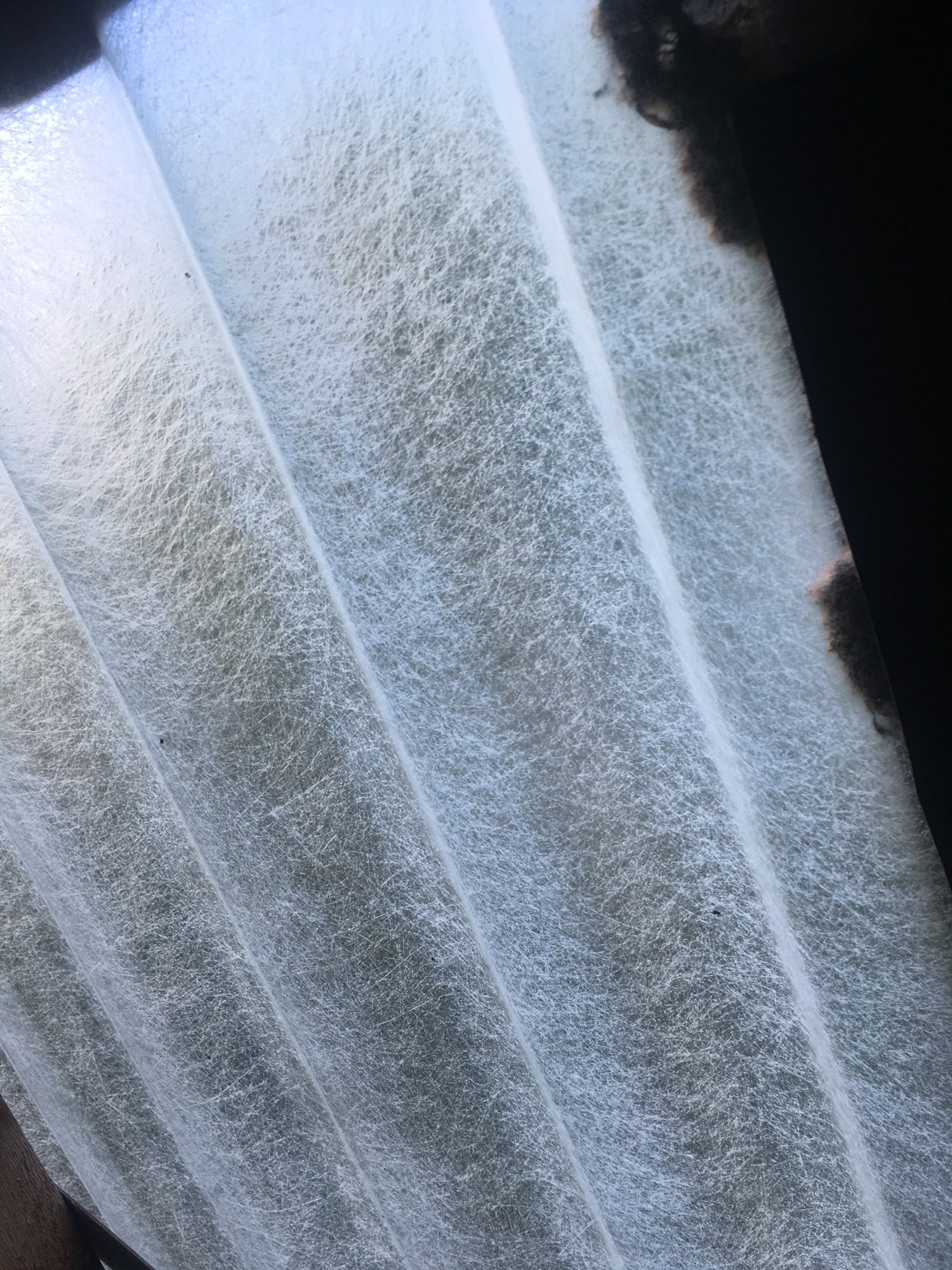 Asbest - gjennomsiktig takplate på låve - IMG_0344.JPG - KimStorbaek