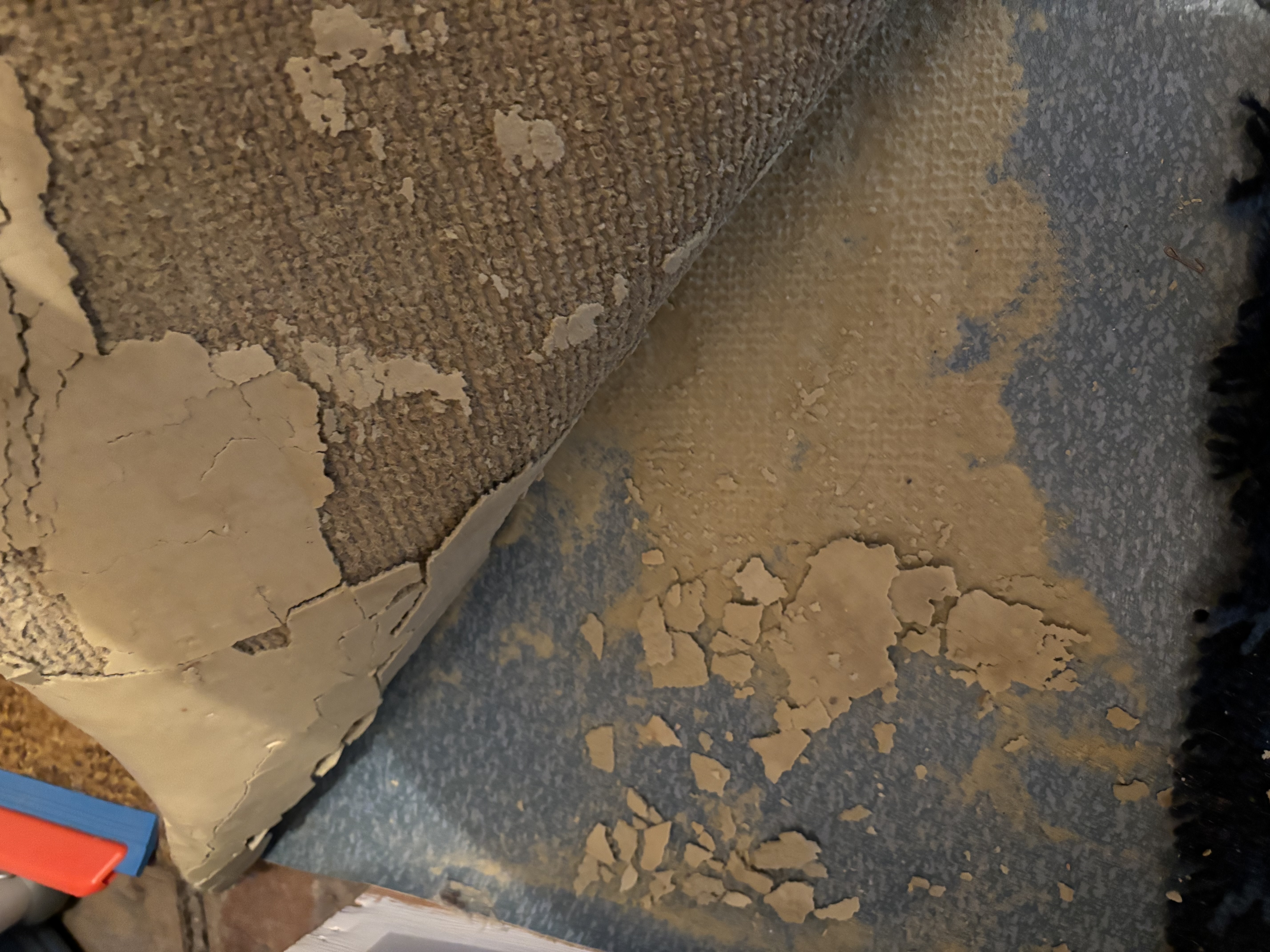 Asbest i gulvteppe - IMG_0381.jpeg - Andreas1993