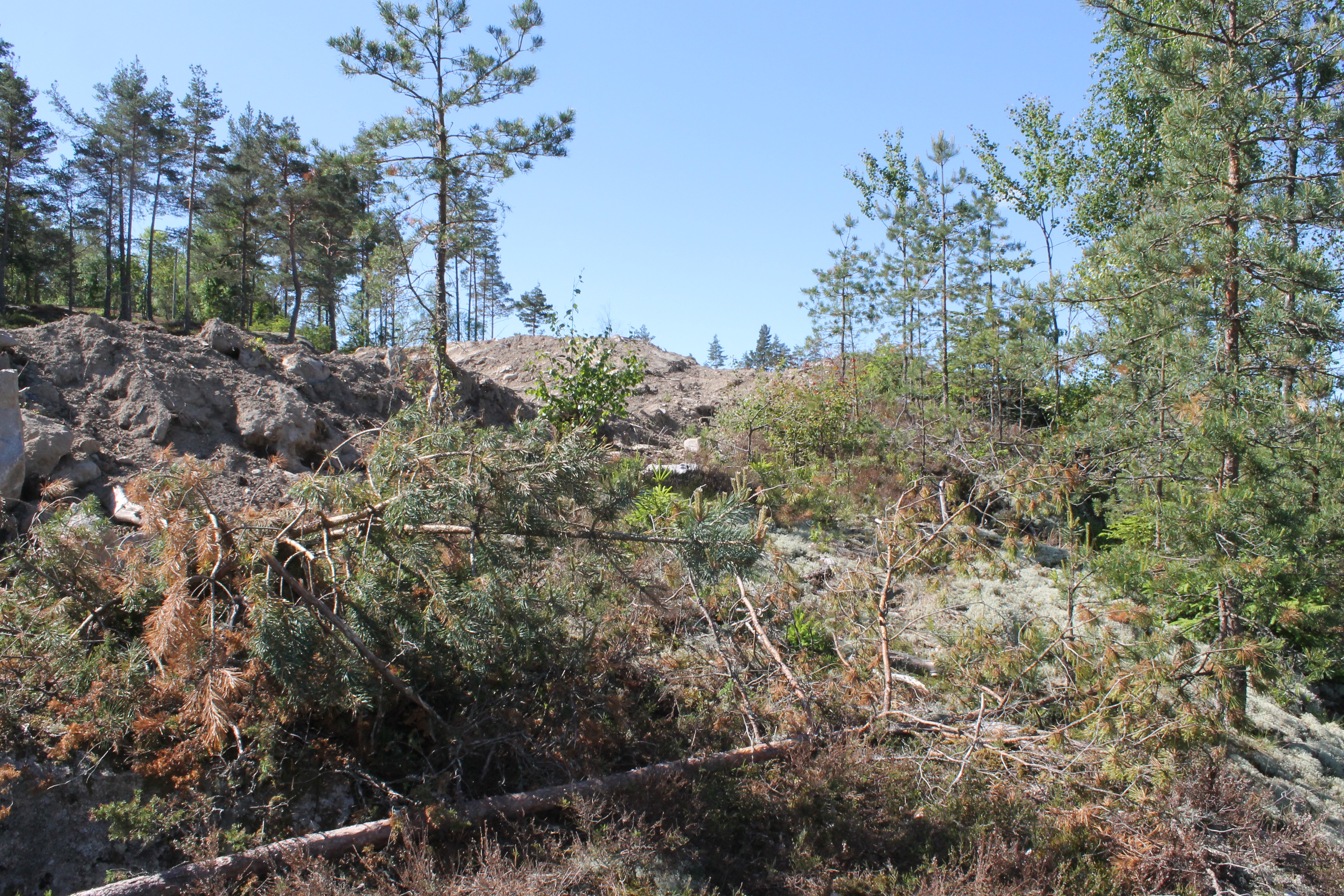 ldaniel: Vi bygger Älvsbyhus rett over svenskegrensa (Strömstad)! - IMG_2846.JPG - ldaniel