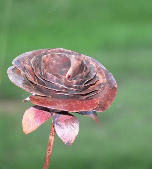 Blomsterkrans i jern som brukes til dekorasjon av vindusgitter (rejas) - Rose1_2.jpg - Einar_S