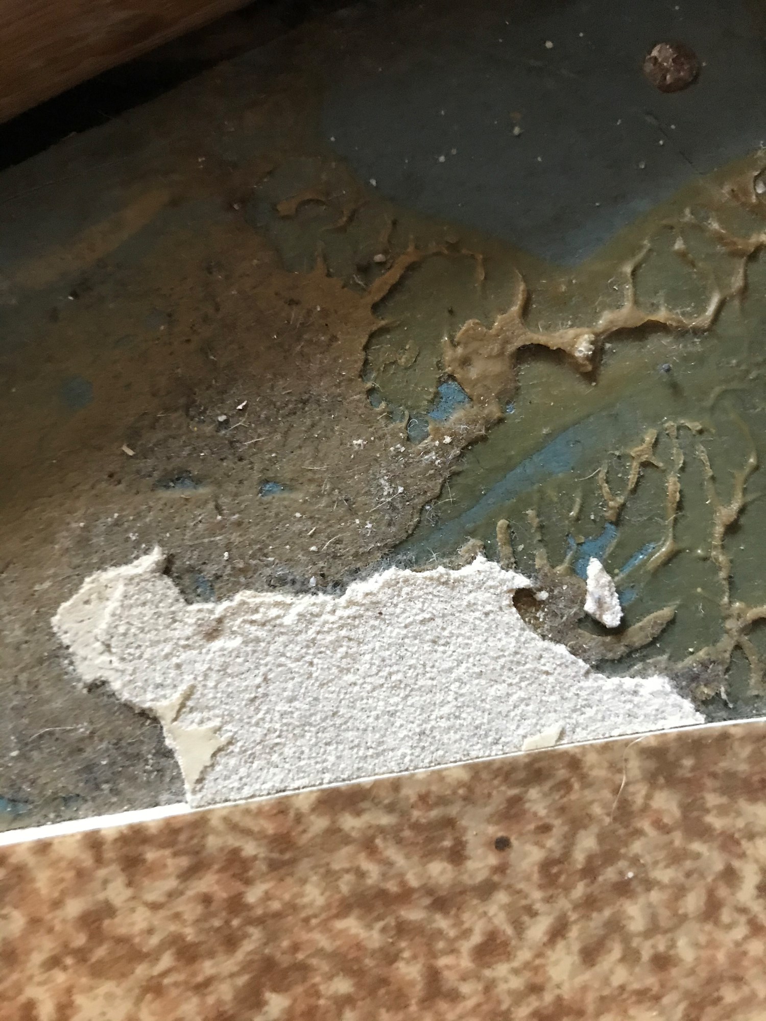 Asbest under linoleum og bak tapet..? - BC13AEB5-84F1-4EA7-A335-CEBDD1346D0A.jpeg - Anonym