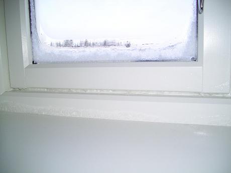 Ising og dogg i vindu - rim på vindu.jpg - Levanger