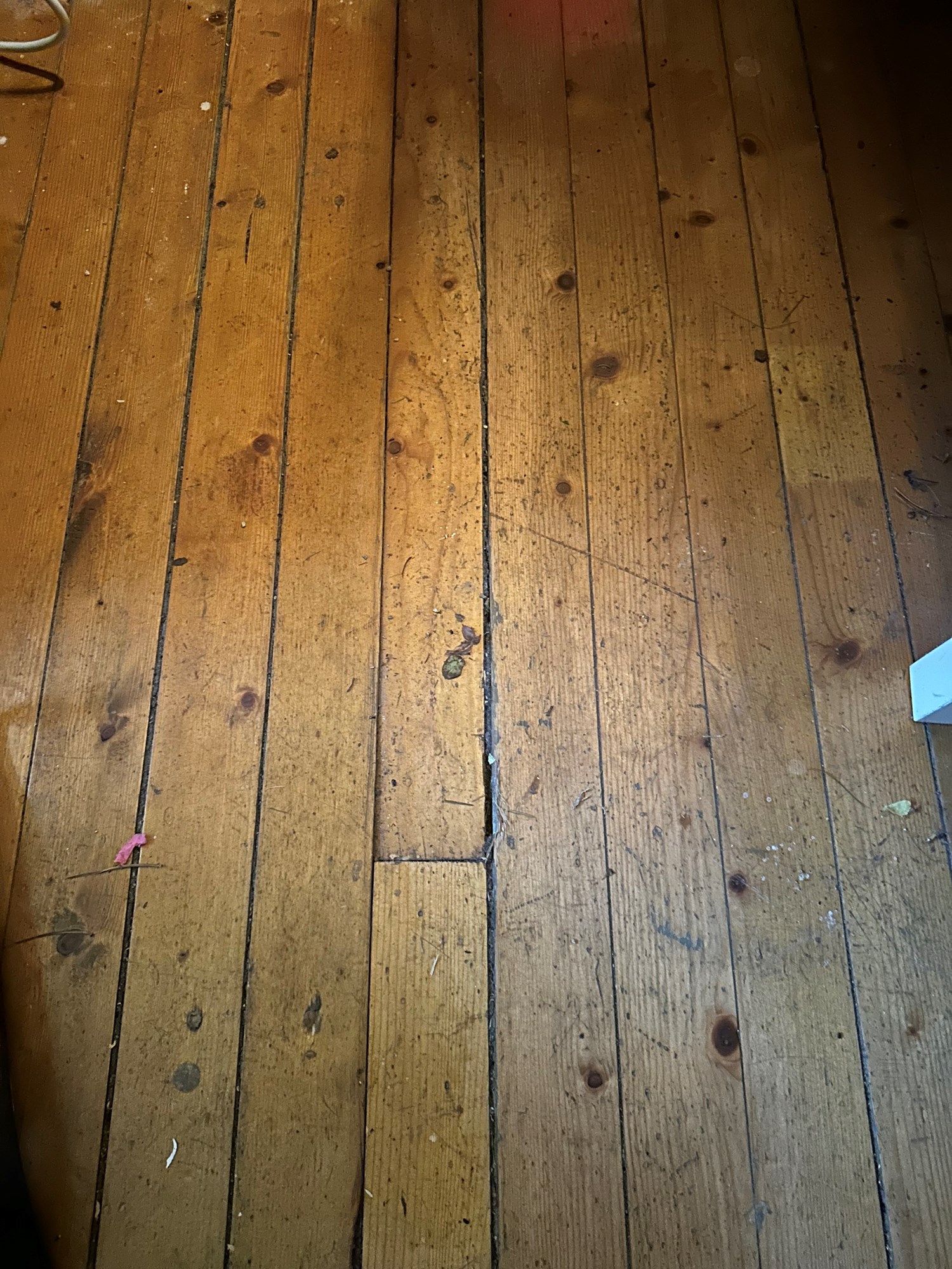 Nytt gulv i gammel kjeller - IMG_1665.jpeg - espinator