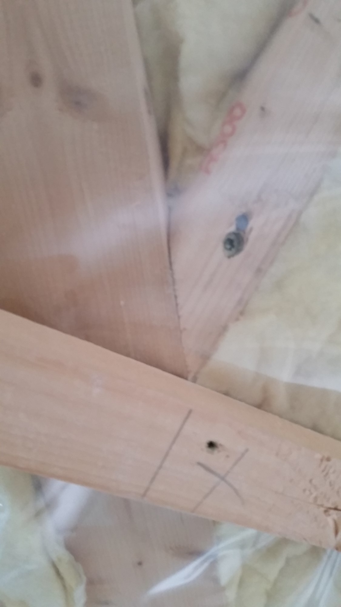 Lekting mellom ark og hustakstoler - 20170602_121608.jpg - husbyggar