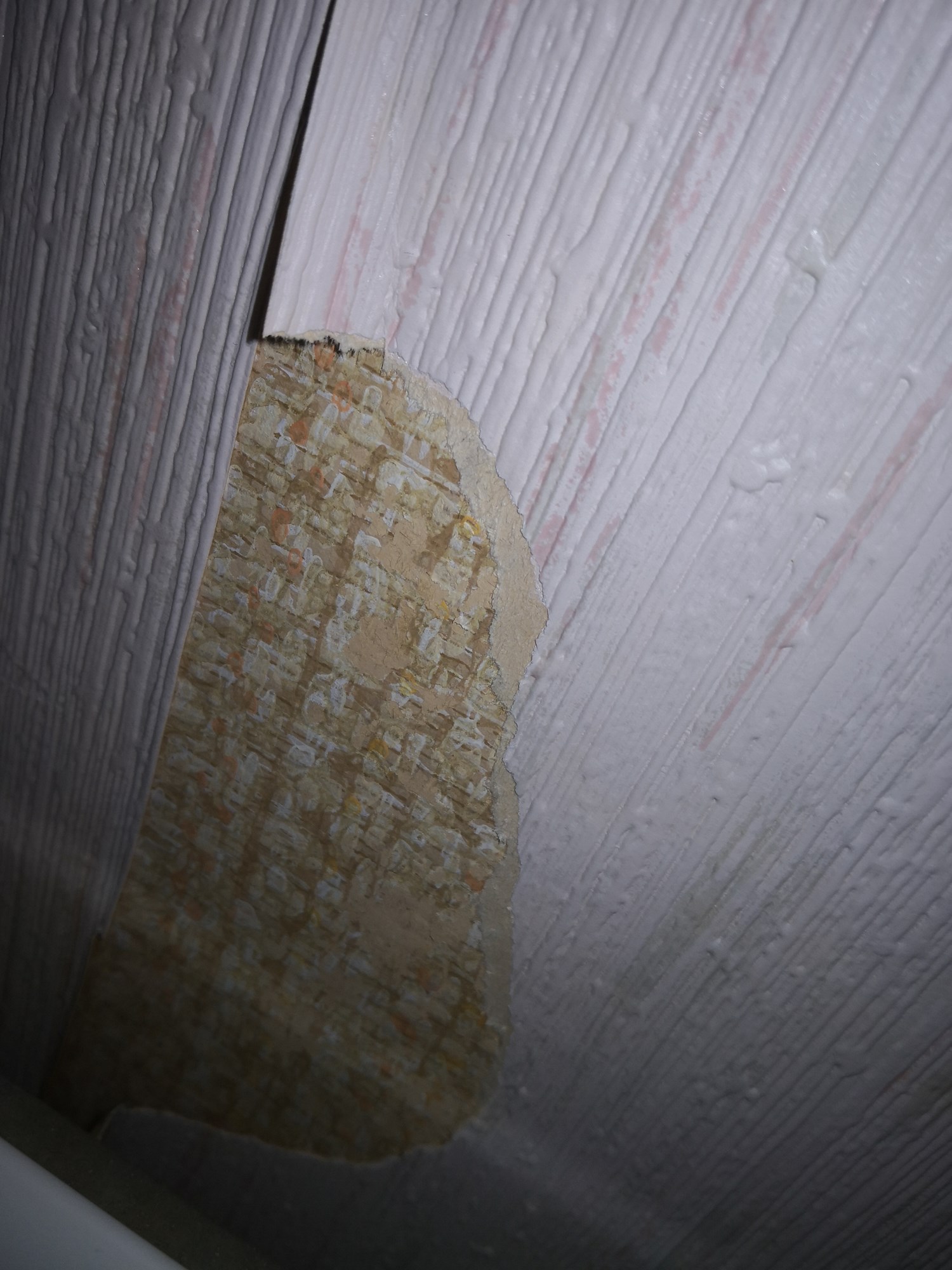 Rare plater under tapet - asbest? - IMG_20221208_144434.jpg - MorganOppusser