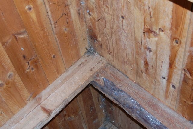 Ønske om ombygging av kaldt loft til varmt + hjelp til å fjerne mugg-problem - DSC_0937.jpg - novell
