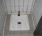 For lite toalett og en for stor dør? - 180px-French_Squatter_Toilet.jpg - Luringen