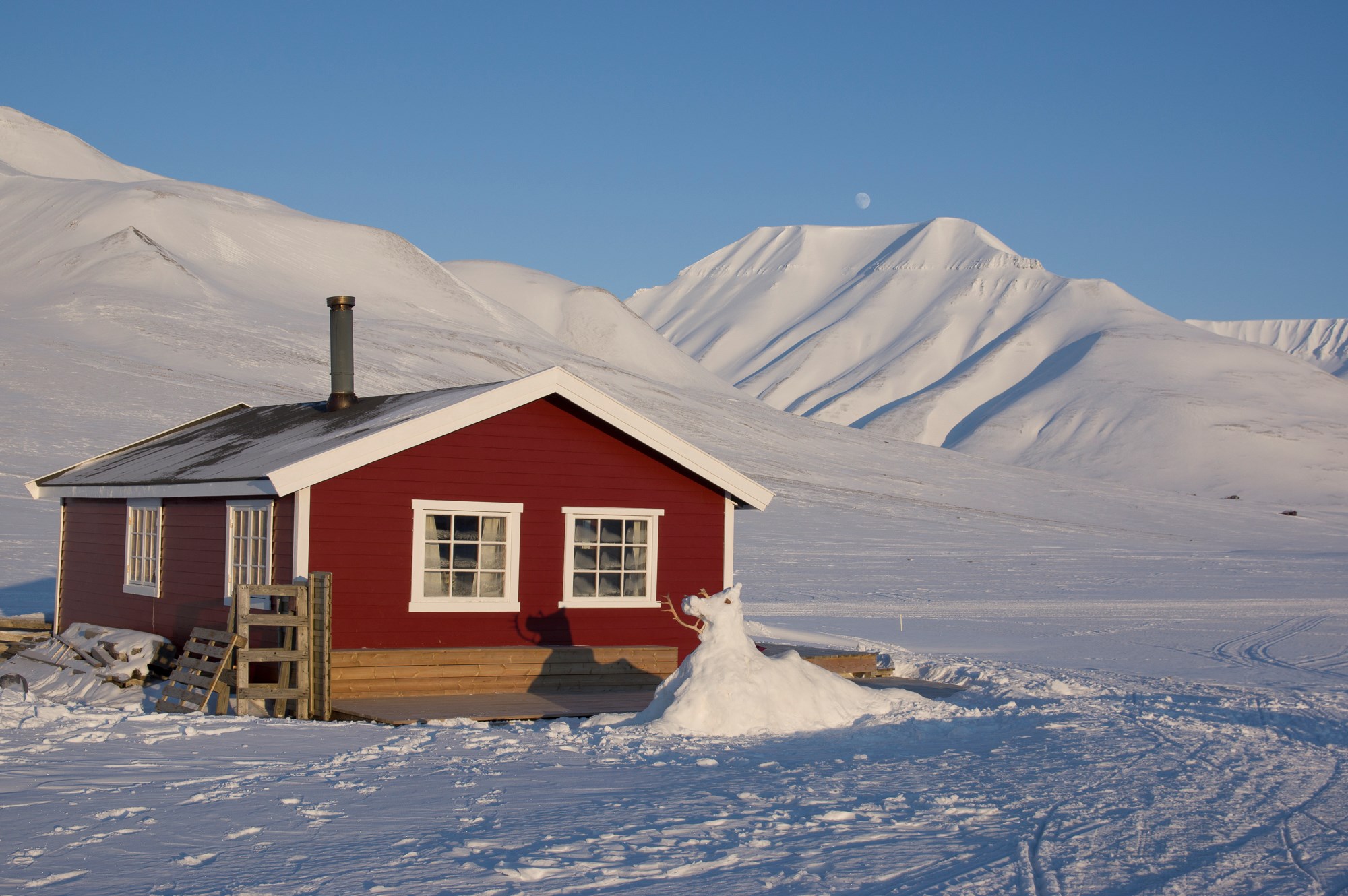 Drywood skal "teste" maling i arktis - Drywood_Svalbard (1 of 1).jpg - rubs