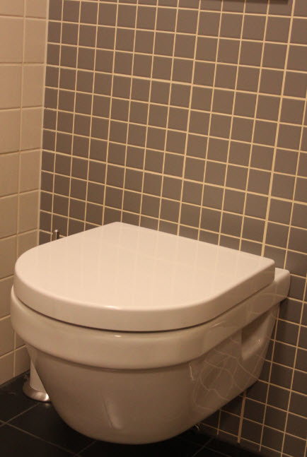 Vinn et nytt innovativt toalett på Byggebolig - Toalett 01.JPG - grønnsofa