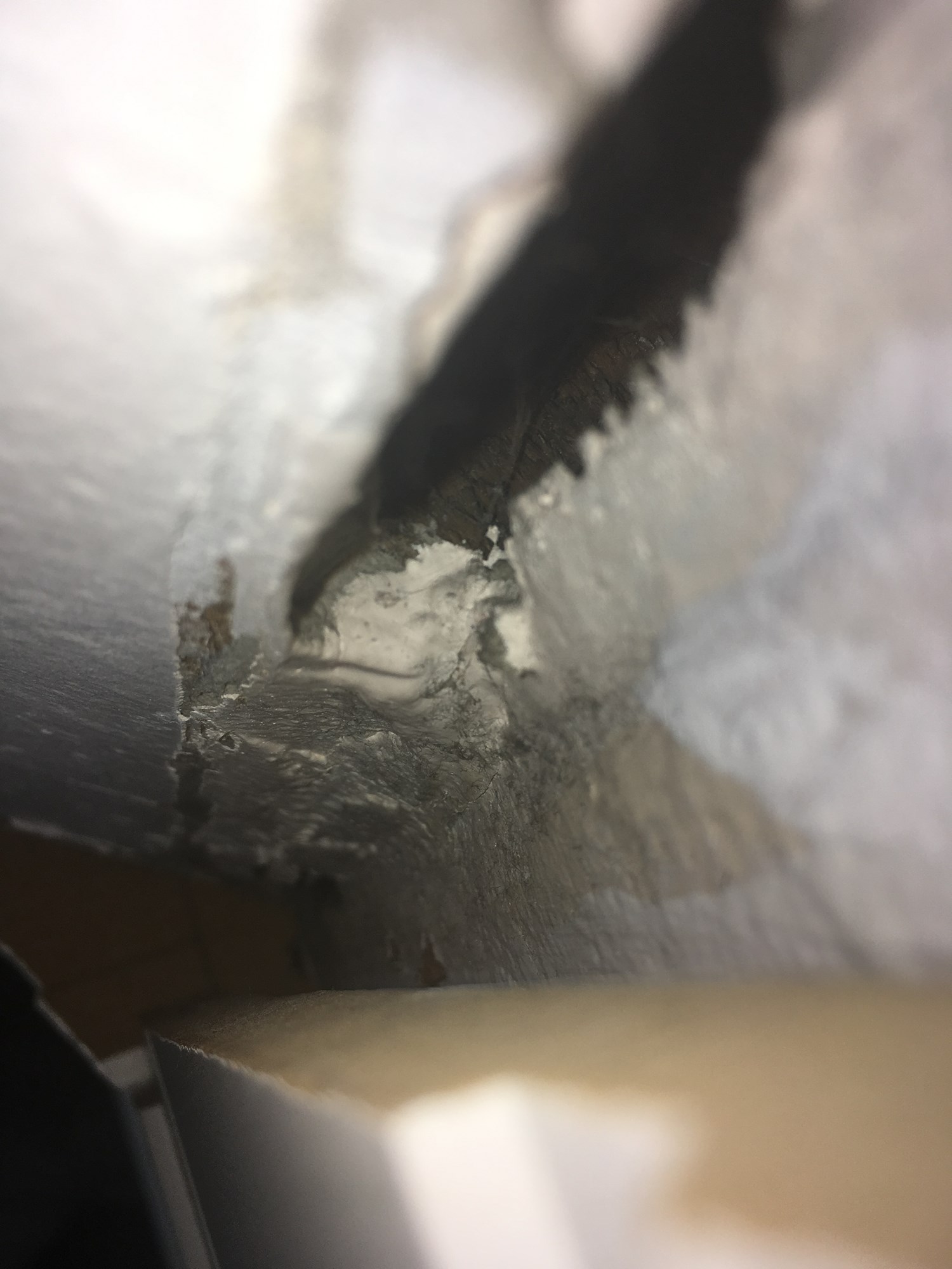 Asbest i plate?  - Bilde 08.08.2018, 18 33 20.jpg - BekymretSjel