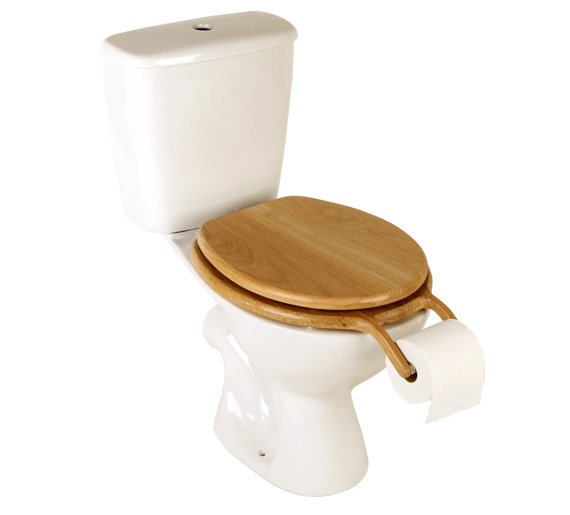 Toalettrull innenfor rekkevidde - df4a5__Toilet-with-paper.jpg - kolvorok