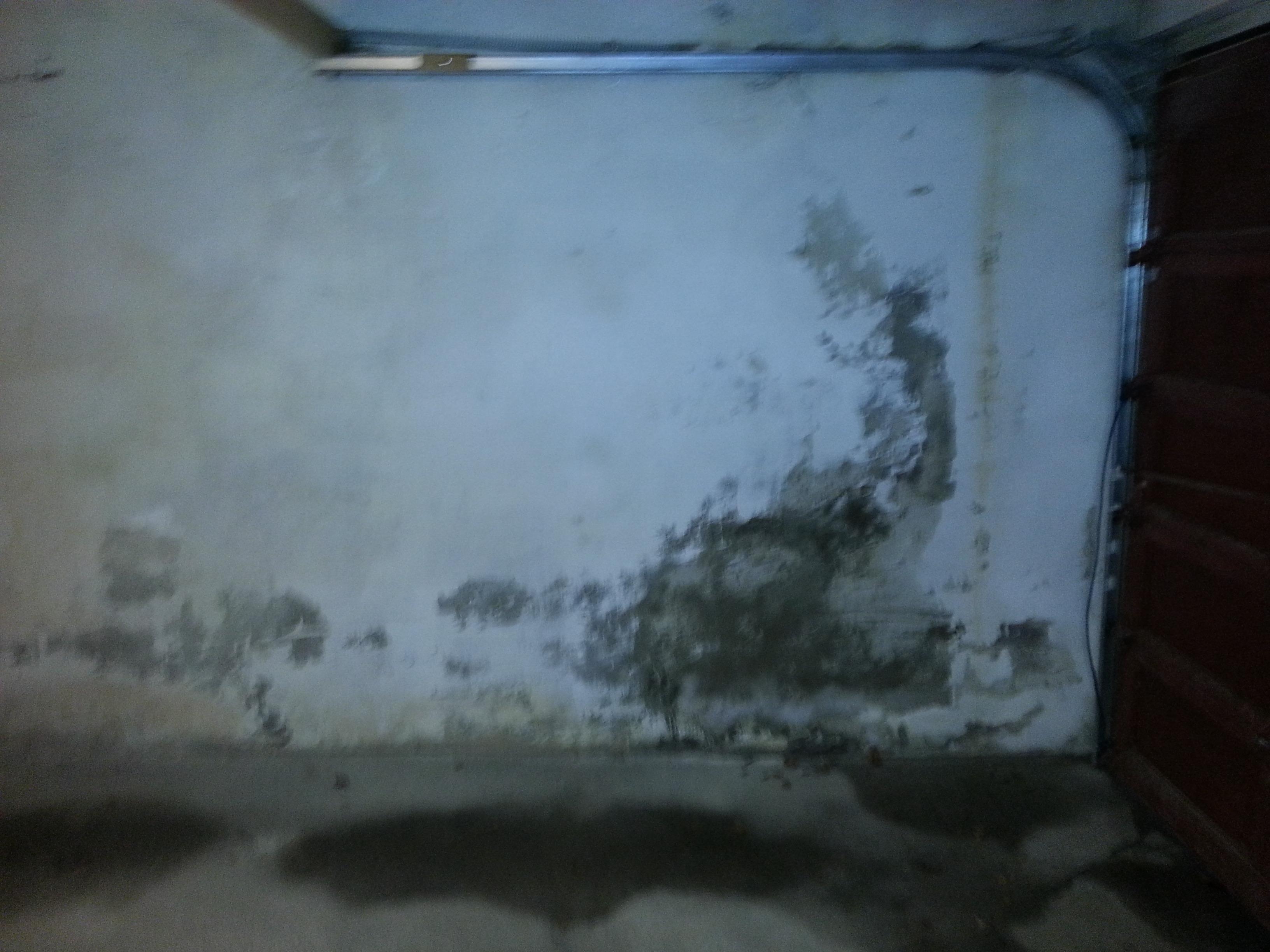 Overflatebehandling av fuktige vegger og tak/himling i betonggarasje - Garasje2.jpg - Abelo