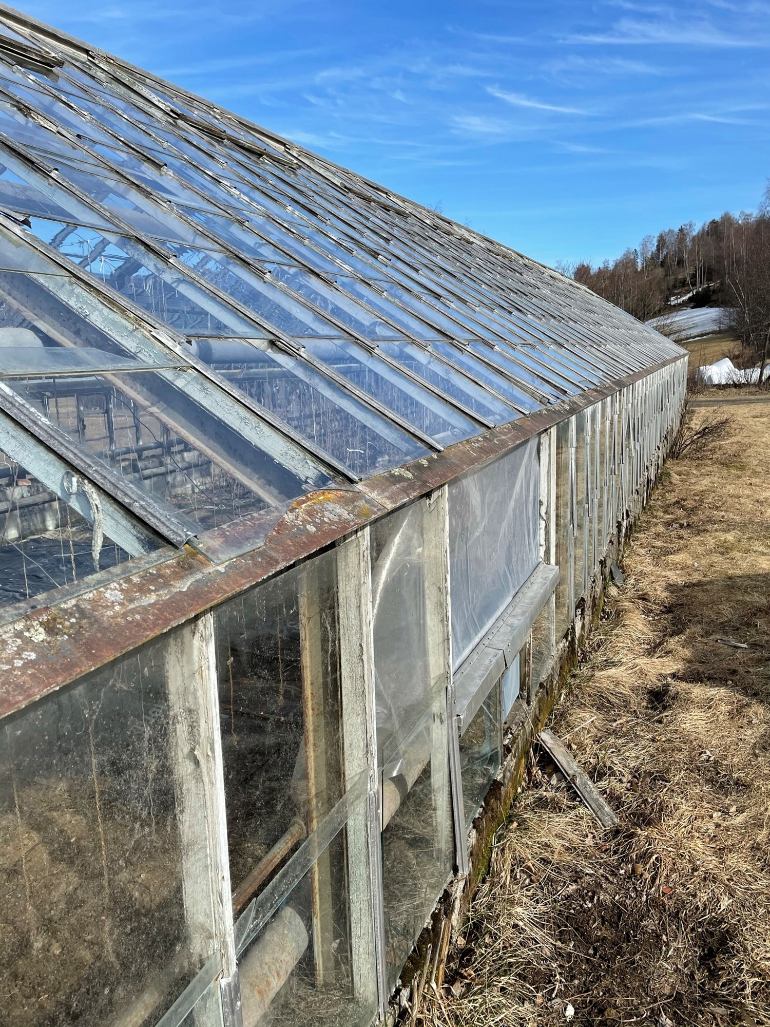 Renovere gammelt drivhus av glass. - IMG_0102.JPEG - eby