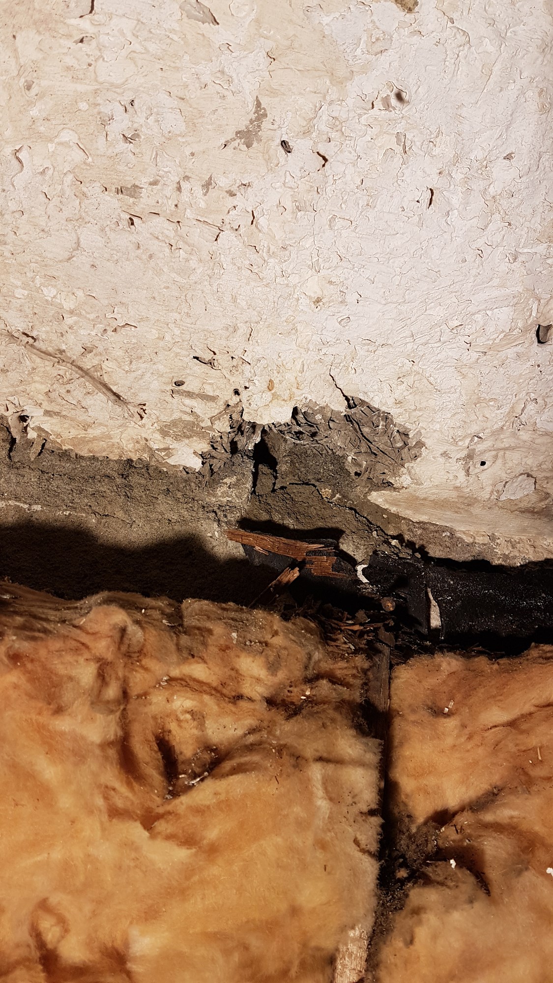 Råtten vegg i kjellerbod, mulig asbest? Tips ideer til hva materialet i muren bak er.  - 20180613_224547.jpg - hugohytte