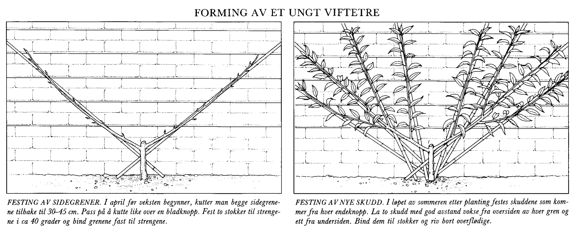 Drivhus med gulvet som  varmemagasin - aaf82d1905f64ef086e1b28913b7de01.png - Alias_Knagg