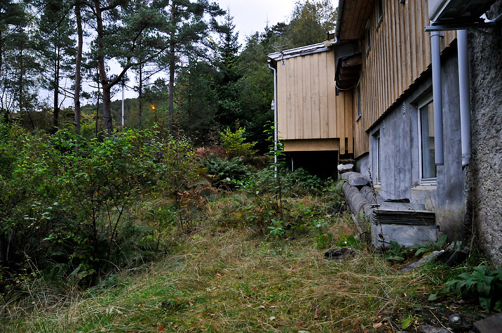 Damptette Leca? - skrå.jpg - Snickers