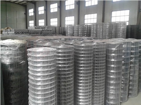 4 Tips to Choose an Ideal Galvanized Welded Wire Mesh Supplier - Galvanized-Welded-Wire-Mesh-Factory.jpg - Allison