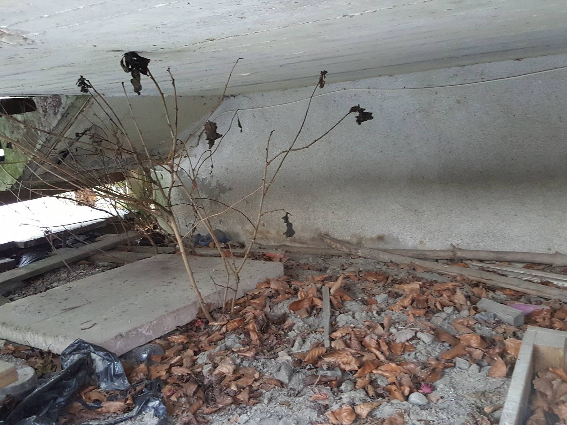 Pigge bort støpt veranda uten ben - 16009831_10158124747160584_851855839_o.jpg - Sarpmag