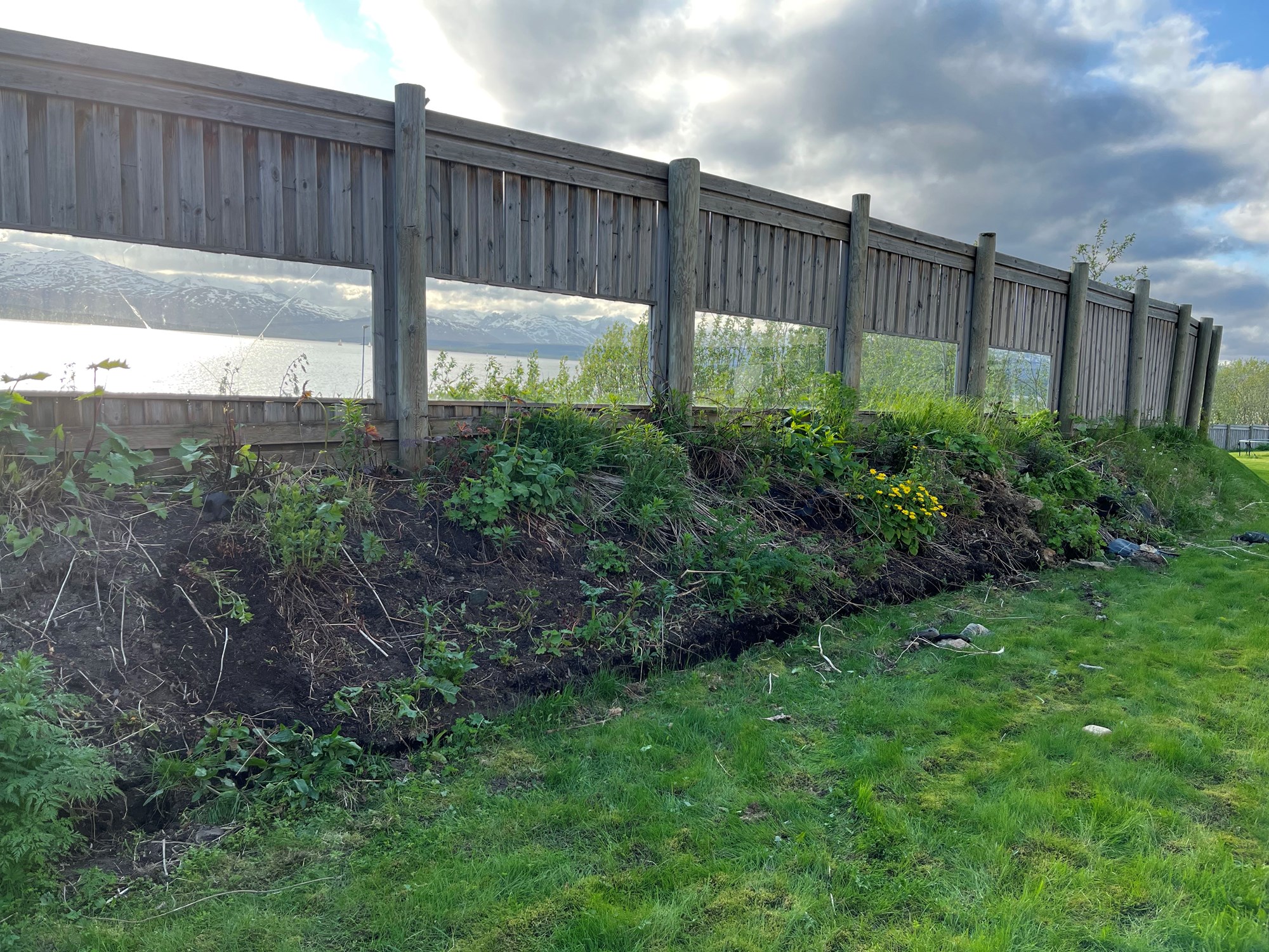 Bytte blomsterbed med gress - Blomsterbed.jpg - Haugen