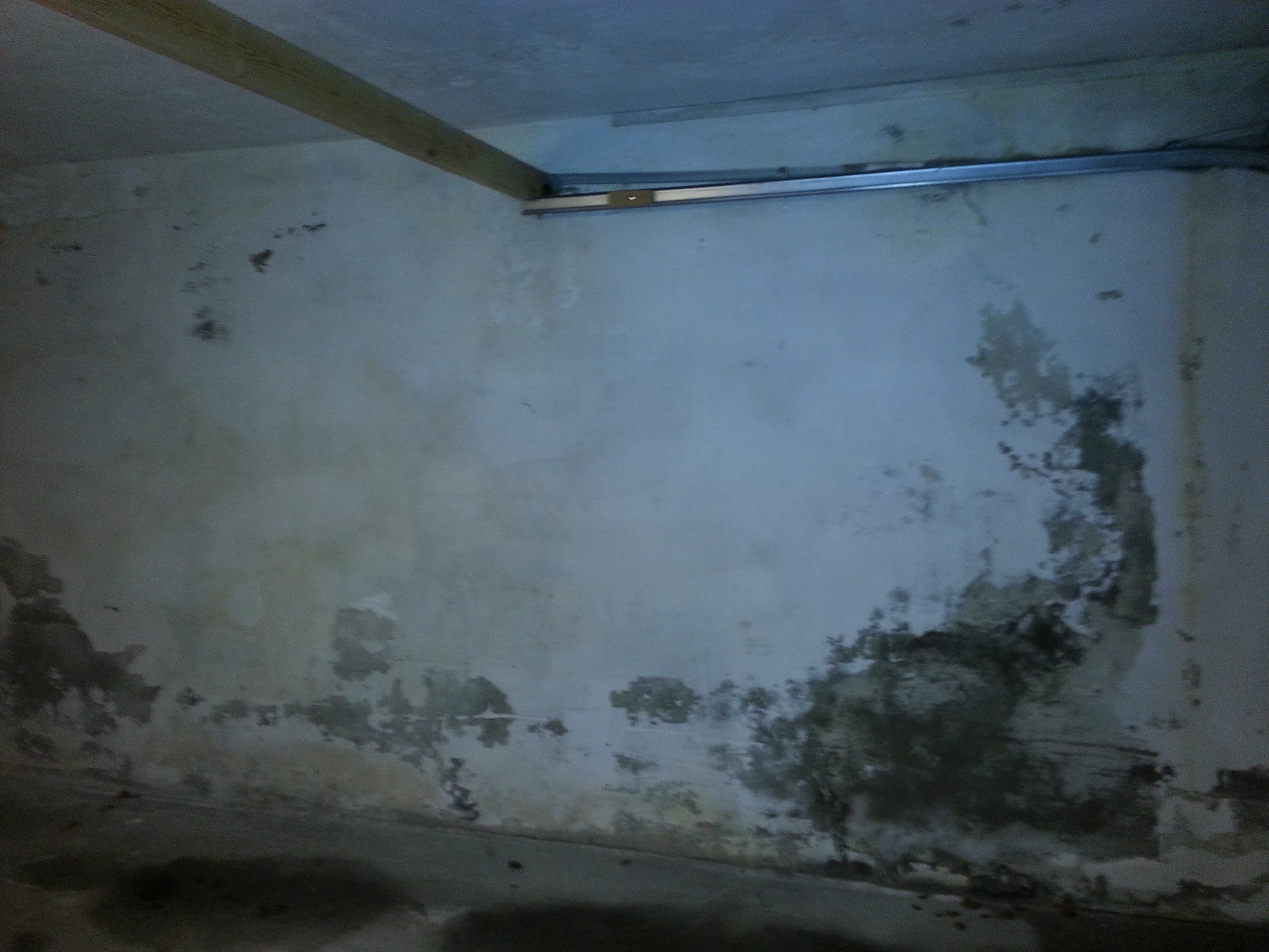 Overflatebehandling av fuktige vegger og tak/himling i betonggarasje - Garasje3.jpg - Abelo