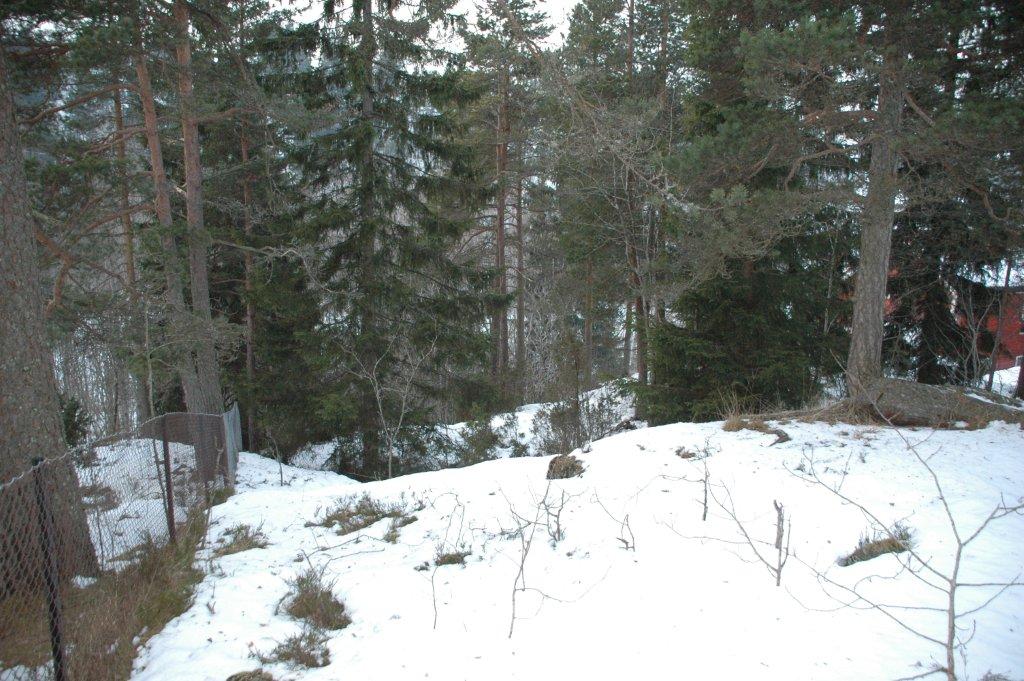 Søker en som kan sprenge fjell for tomt på Lørenskog - DSC_0144.jpg - kpfaaland