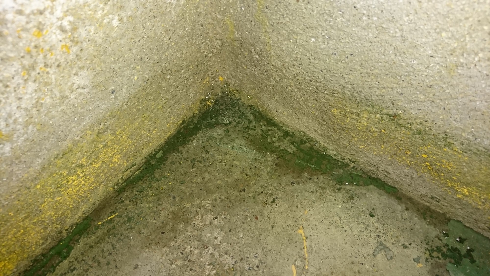 Våtrom i kjeller, over 3/4 av vegg ligger under mark. Svartsopp og alger(?) på innvendig kjellermur ved manglende drenering. - DSC_0714.jpg - Mysjkin