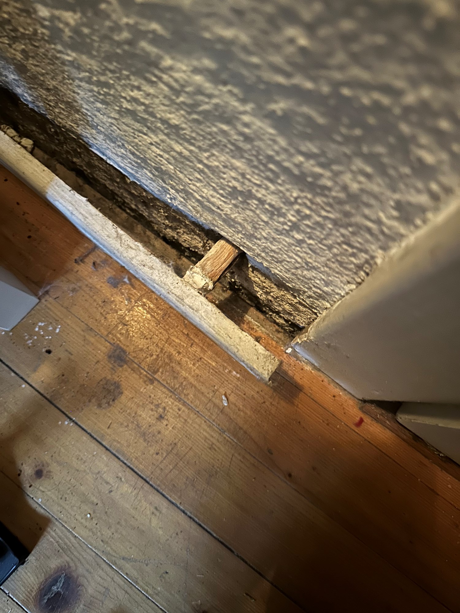 Nytt gulv i gammel kjeller - IMG_1664.jpeg - espinator